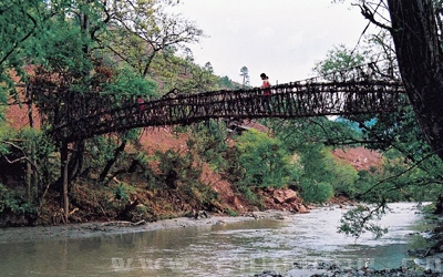 沘江藤索橋