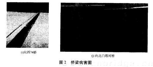 圖2 橋梁病害圖