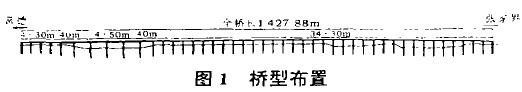 圖1 橋型布置