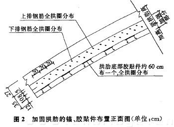 圖2 加固拱肋的錨、膠貼件布置正面圖（單位：cm）