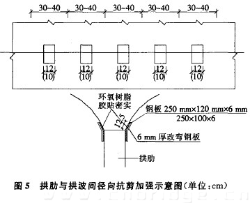 圖5 拱肋與拱波間徑向抗剪加強示意圖（單位：cm）